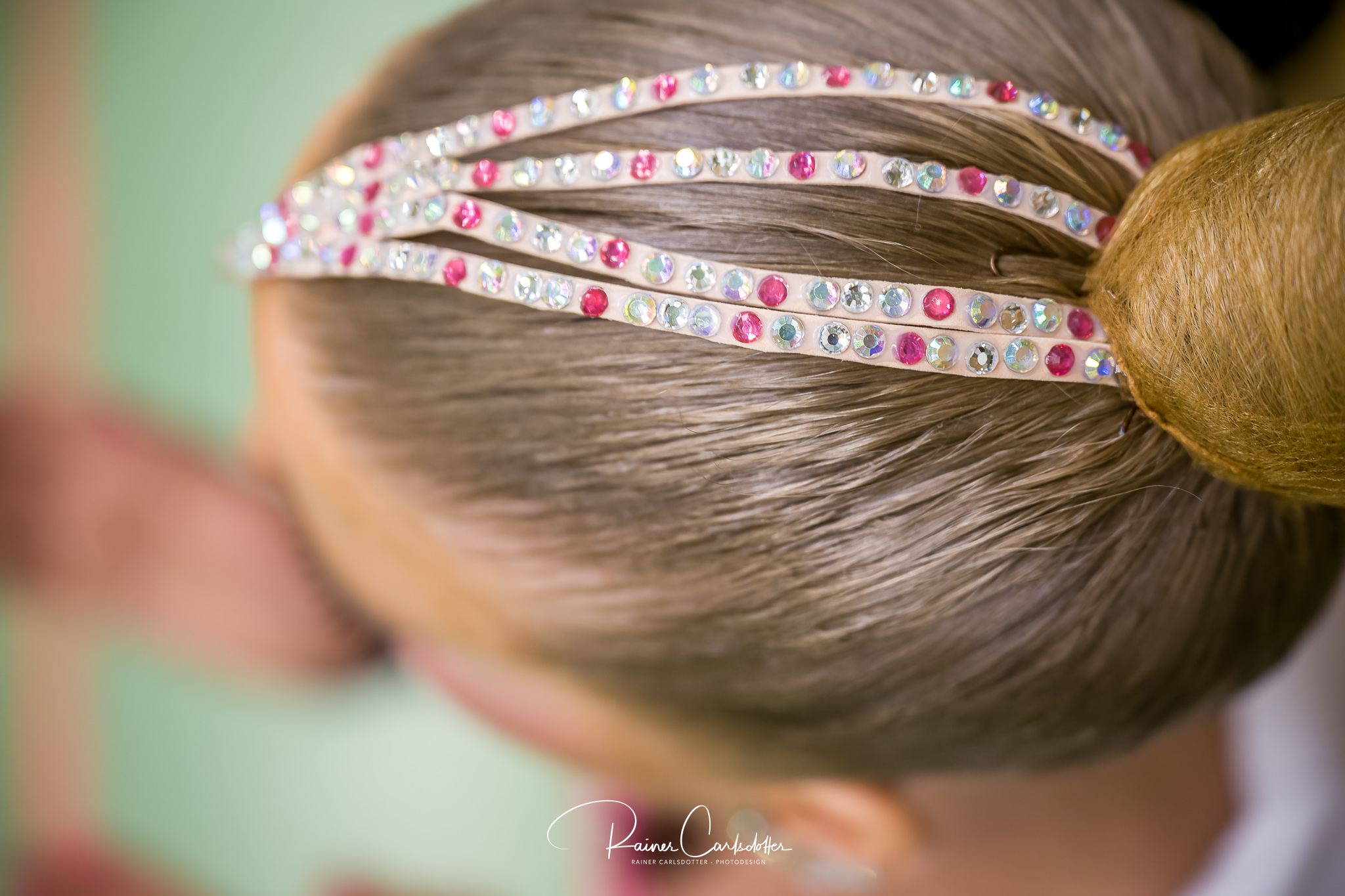 RC 20230114 Präsentation DSC 1283 DNAi